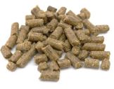 Babycorn Fish 