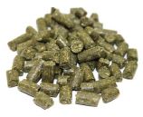 Babycorn GLM